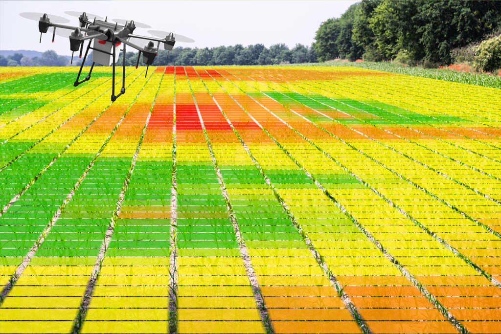 Análisis de la variabilidad espacial: clave para optimizar la productividad agrícola 1 variabilidad espacial agritecgeo