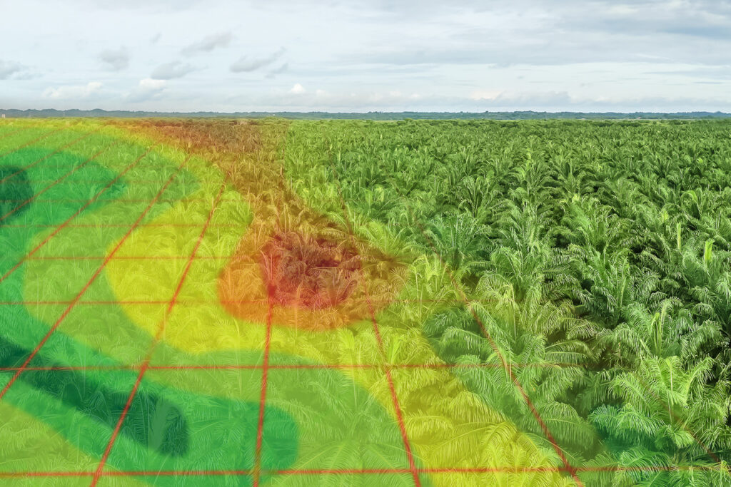 Análisis de la variabilidad espacial: clave para optimizar la productividad agrícola 5 variabilidad espacial palma de aceite agritecgeo